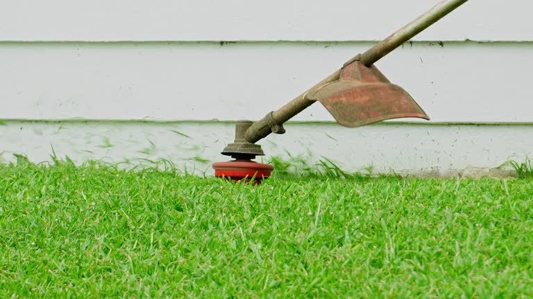 Best Grass Overseeding  in Lake Shore, WA