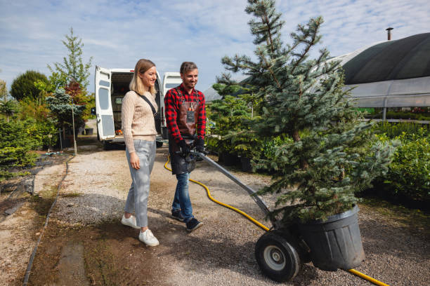 Best Tree Disease Treatment  in Lake Shore, WA
